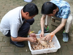 南澳2